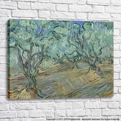Оливковая роща, Ван Гог