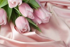 Фотообои Розовые тюльпаны на шелке