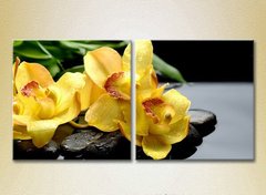 Диптих Желтые орхидеи на камнях_01