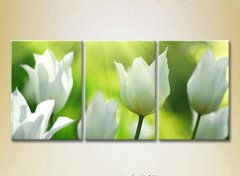 Триптих Белые тюльпаны_01