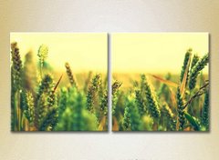 Диптих Пшеничное поле