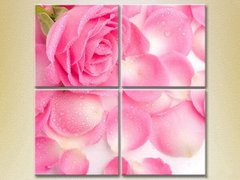 Полиптих Розовая роза и лепестки