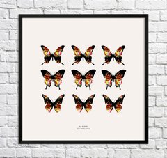 Бабочки. Цветочный узор