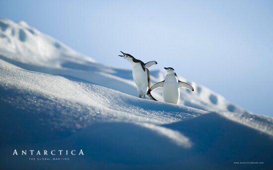 Antarctica_27
