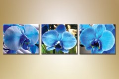 Триптих Орхидеи 10