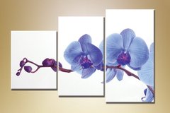 Триптих Орхидеи 15