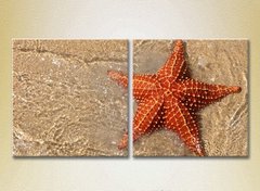 Диптих Морская звезда на берегу