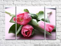 Розовые цветки на листьях тюльпанов