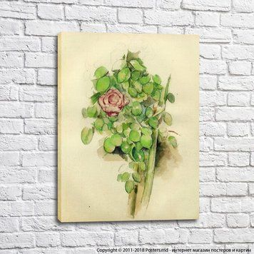 Rose Bush, 1885 88