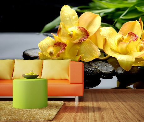 Желтая орхидея на черном фоне