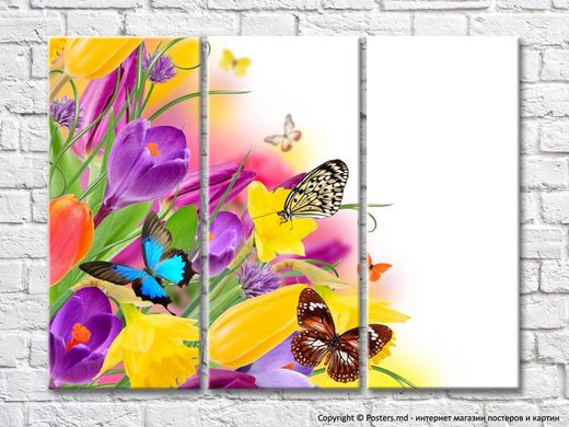 Яркий разноцветный букет из весенних цветов и бабочки