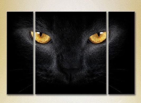 Триптих Глаза черной кошки