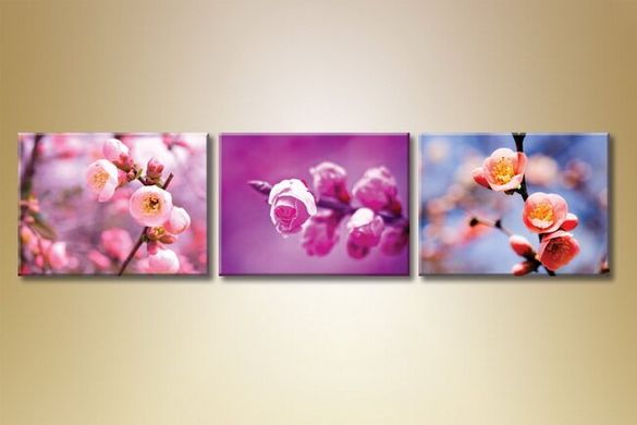 Triptic Flori de Sakura