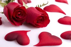 Fototapet Trandafiri roșii și petale
