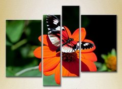 Полиптих Бабочка на цветке