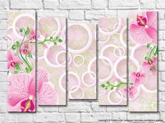 Розовые орхидеи и белые круги на розовом фоне