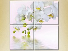 Полиптих Белая орхидея