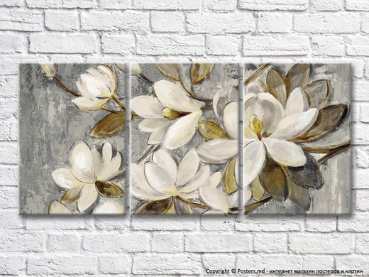 Flori mari de magnolie albe