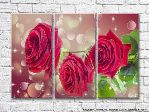Flori mari de trandafiri roșii pe un fundal abstract