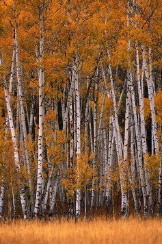 Natura si peisaje_11