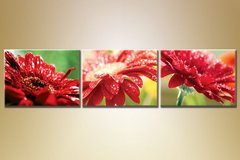 Triptic gerbere roșii