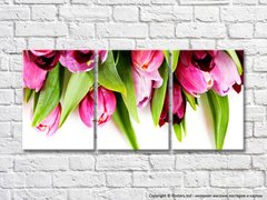 Розовые цветки тюльпанов и зеленые листья