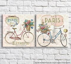 Велосипеды и цветы на розовом фоне, Париж, диптих