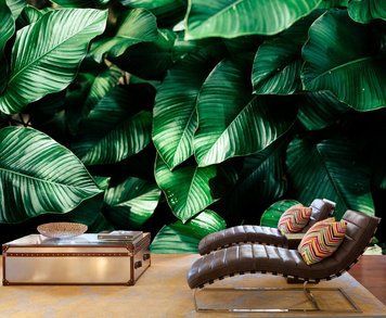 Textura din frunzele plantelor tropicale
