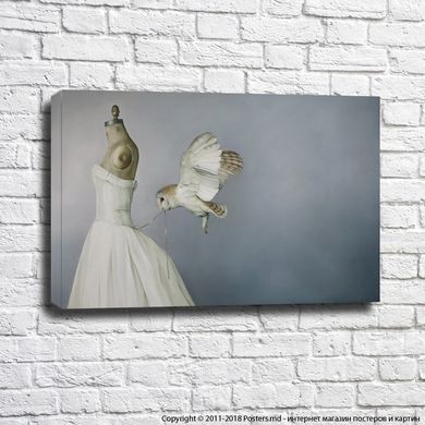 Манекен в белом платье и сова, развязывающая шнуровку