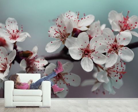 Ramura Sakura pe un fundal turcoaz
