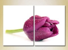 Диптих Фиолетовый тюльпан