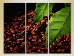 Триптих Зерна, листья кофе_01