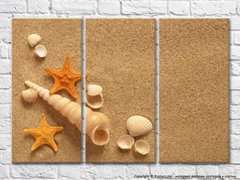 Ракушки и морские звездына песчанном пляже