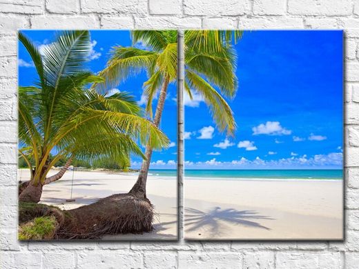 Песчанный пляж с пальмами