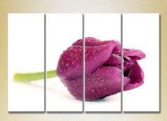 Полиптих Фиолетовый тюльпан
