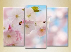 Triptic Flori de Sakura_02