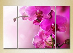 Триптих Фиолетовые орхидеи