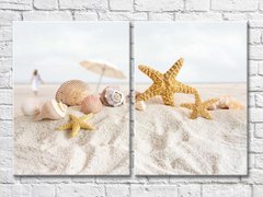 Ракушки и морские звезды в песке