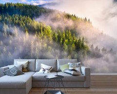 Скандинавский еловый лес в тумане