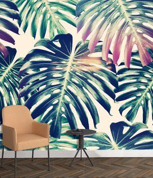 Frunze mari de monstera pe un fundal deschis