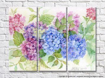 Desen flori de hortensie albastru si liliac