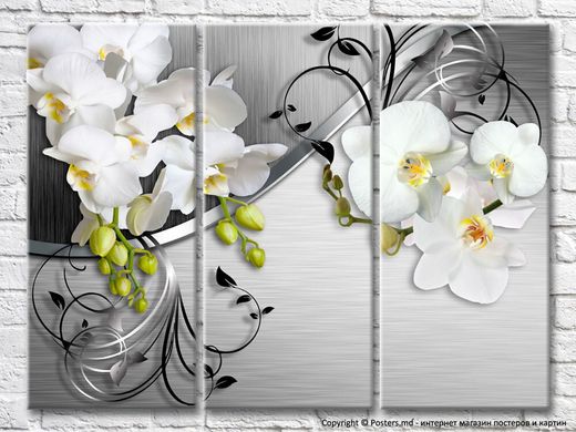 Flori albe de orhidee pe fond argintiu