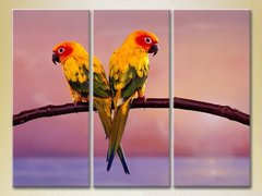 Триптих Два попугая_02