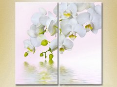 Диптих Белая орхидея_01