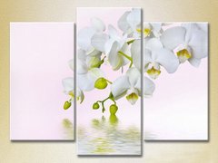 Триптих Белая орхидея_01