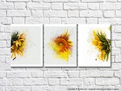 Triptic de floarea soarelui