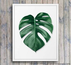 Постер лист тропического растения темно зеленый, фото