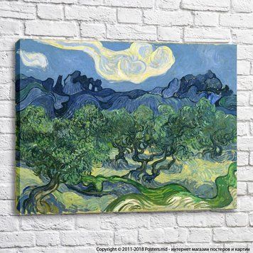 Оливковые деревья на фоне Альпий