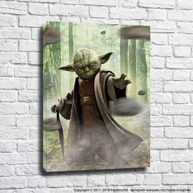 Poster Maestrul Yoda