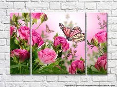 Бабочка на цветке среди кустов роз